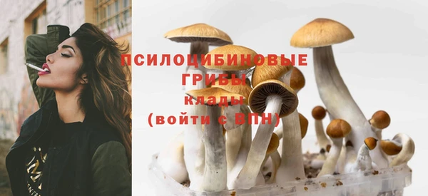 ПСИЛОЦИБИНОВЫЕ ГРИБЫ Алзамай