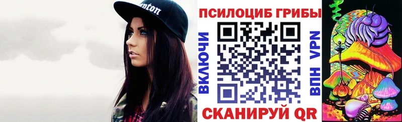 закладка  Серов  Галлюциногенные грибы Magic Shrooms 